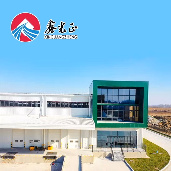 Quick Building Prefabricated Warehouse/Workshop/Hangar Steel Structure