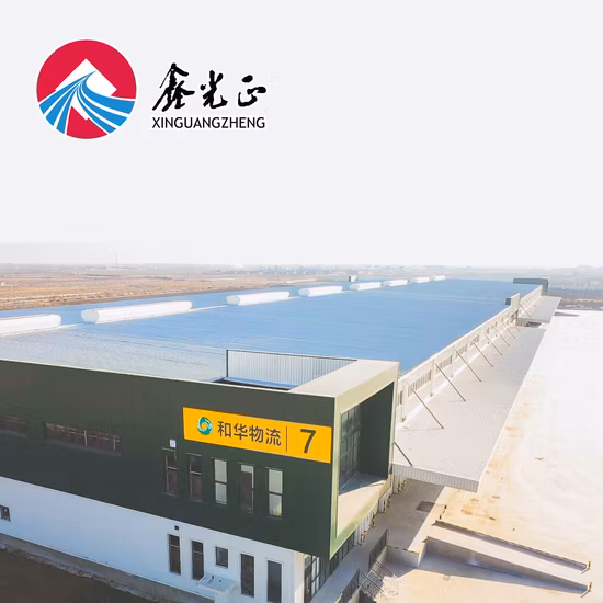 Quick Building Prefabricated Warehouse/Workshop/Hangar Steel Structure