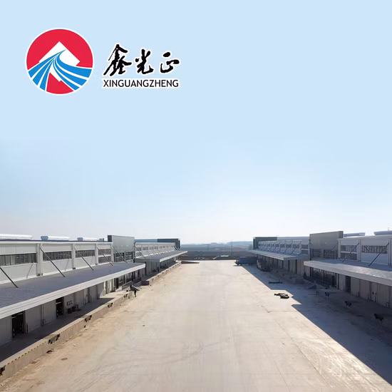 Quick Building Prefabricated Warehouse/Workshop/Hangar Steel Structure